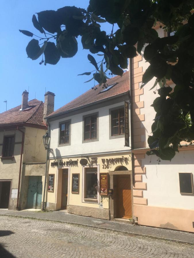 Litoměřice Penzion U Borovicku מראה חיצוני תמונה