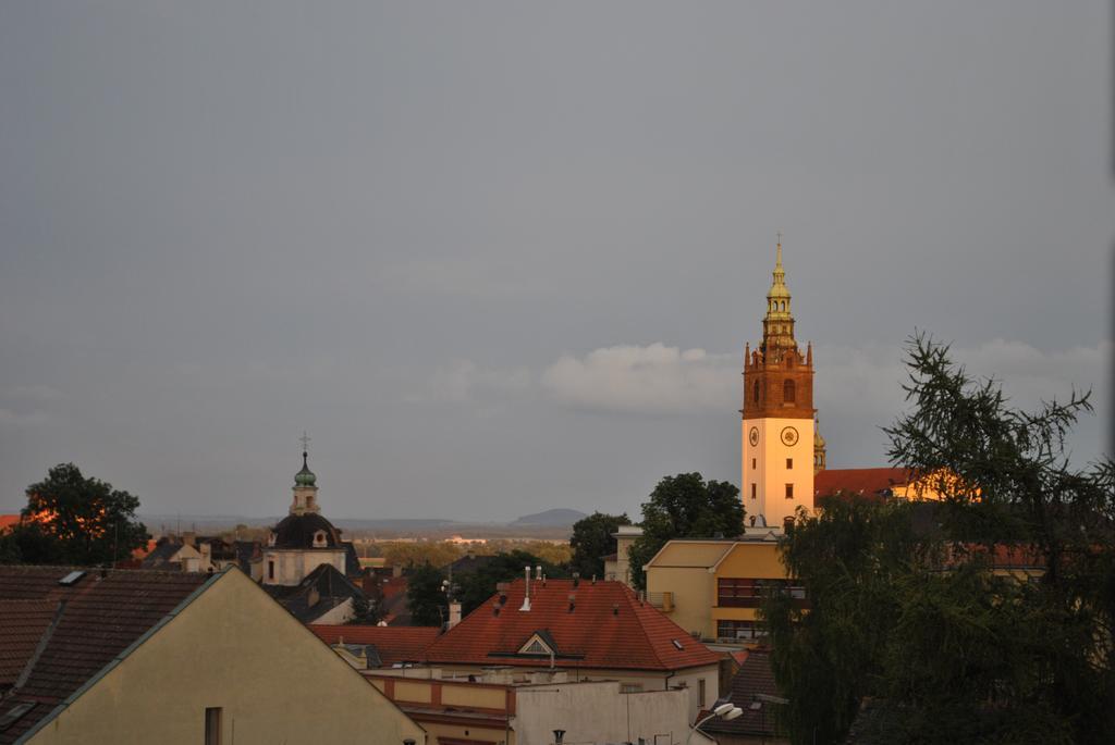 Litoměřice Penzion U Borovicku מראה חיצוני תמונה