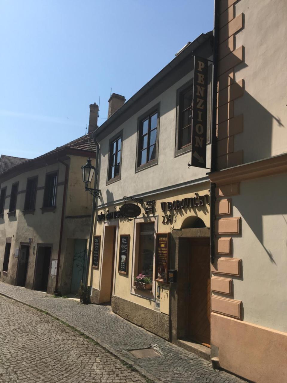 Litoměřice Penzion U Borovicku מראה חיצוני תמונה