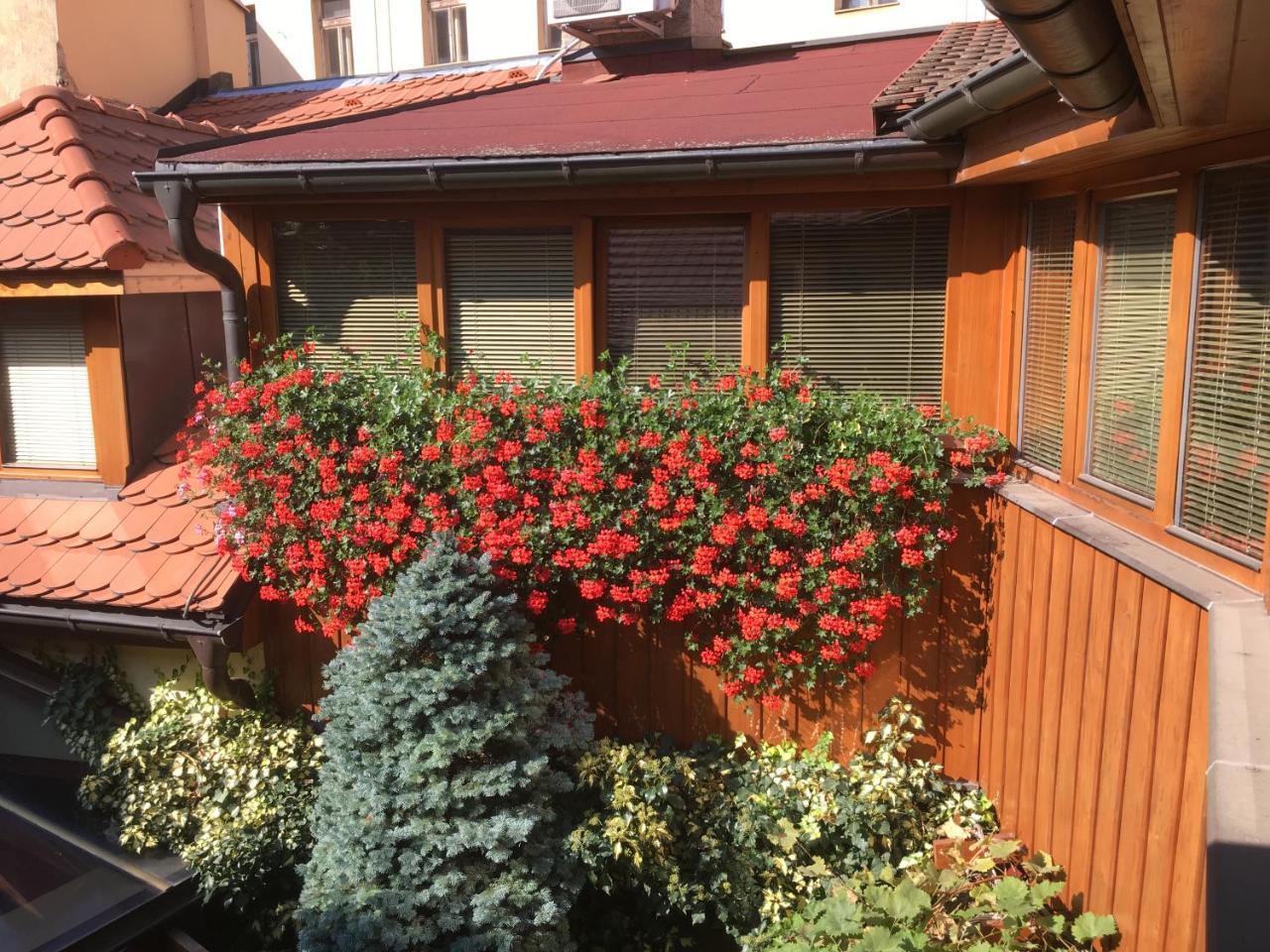 Litoměřice Penzion U Borovicku מראה חיצוני תמונה